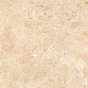 16213 Glossy Floor Tiles