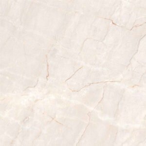 16214 Glossy Floor Tiles