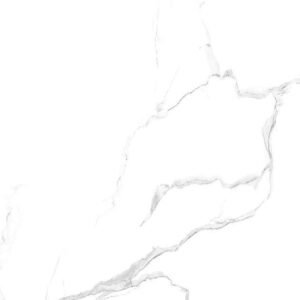 16221 Glossy Floor Tiles