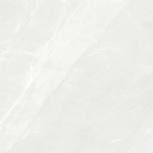 16225 Glossy Floor Tiles