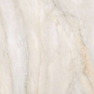 16227 Glossy Floor Tiles