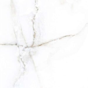 5002 Glossy Floor Tiles