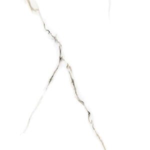 F_102 Glossy Floor Tiles