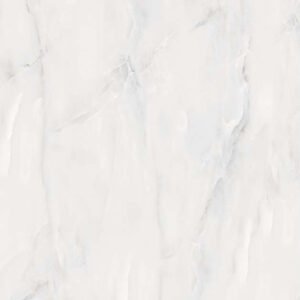 F_105 Glossy Floor Tiles