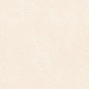 F_145 Glossy Floor Tiles